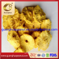 Wholesale Supply Dried Pineapple Rings in Bulk